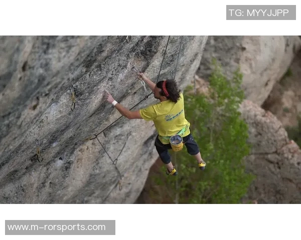 运动攀岩热潮下上海攀岩队的战术分析与训练策略探讨