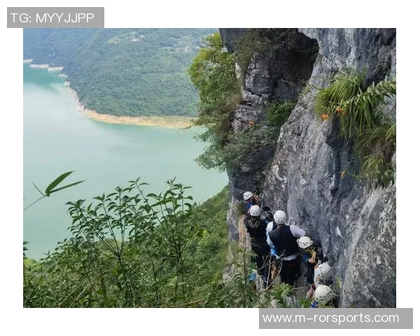 实时新闻深圳攀岩队灵活性变革引发热议探索新发展路径与挑战